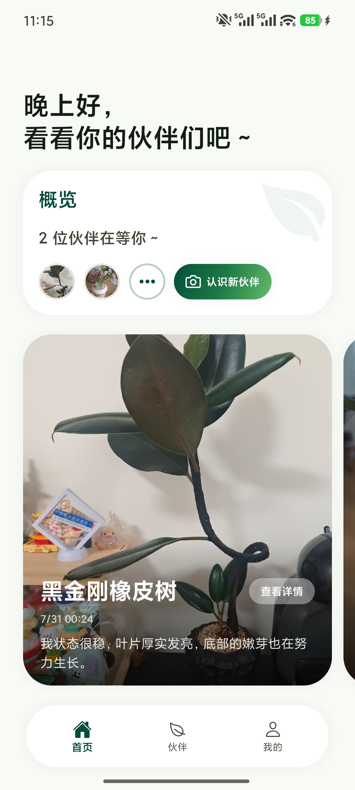 萌植首页界面