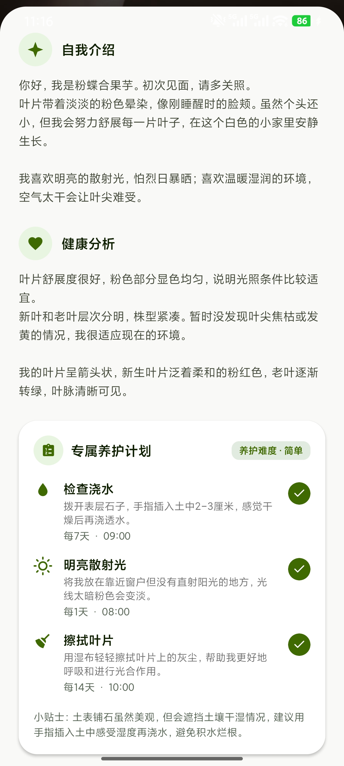 专属养护计划界面