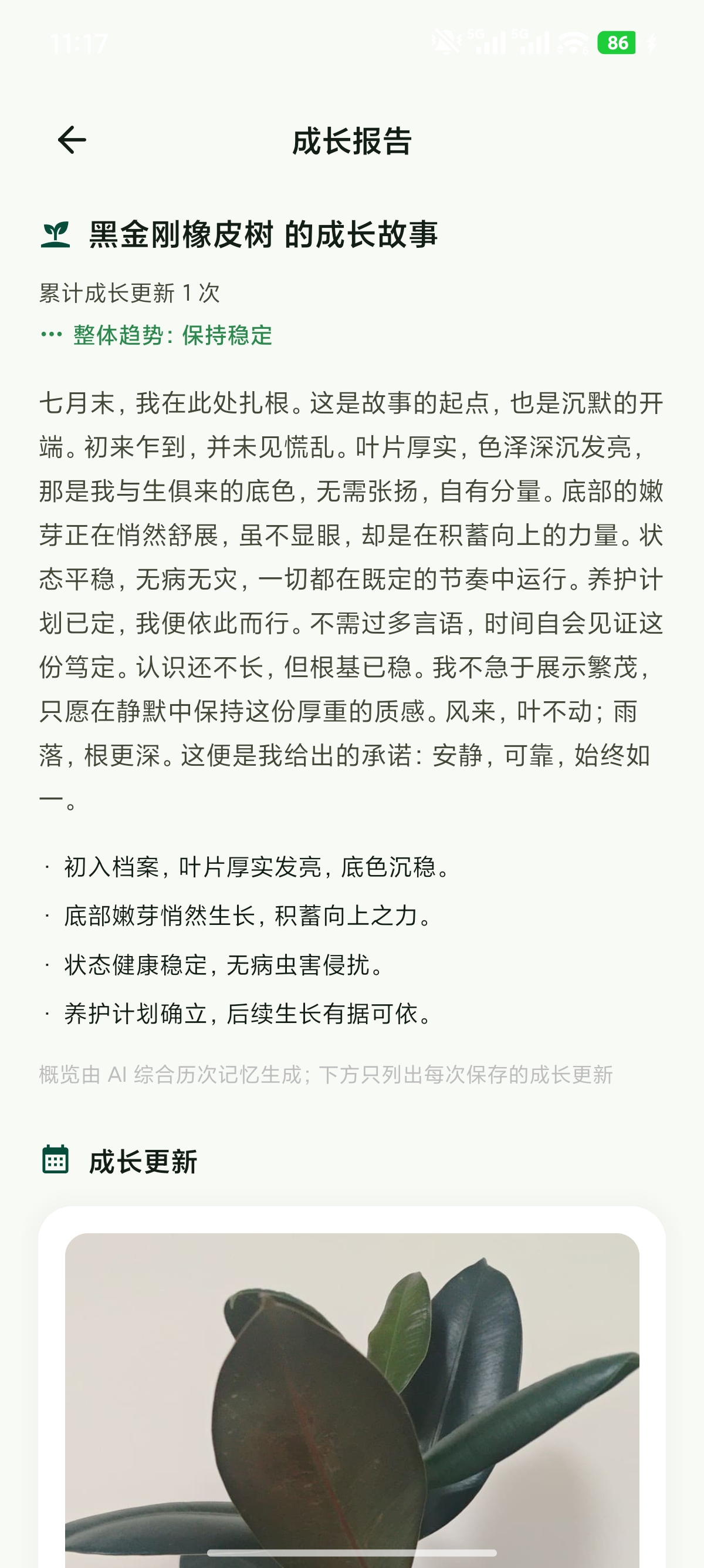 成长报告界面